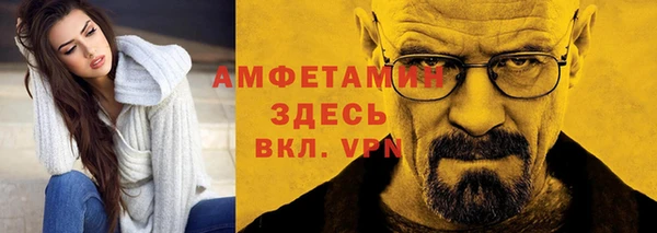 шишки Абаза