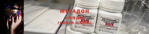 шишки Абаза