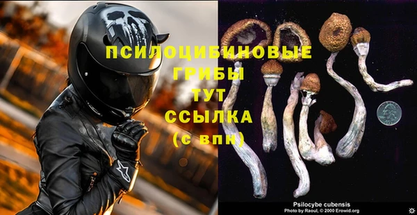 гидропоника Алзамай