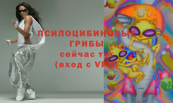 молекула духа Алексин