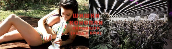 шишки Абаза