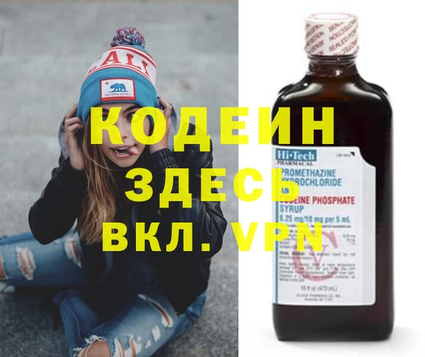 шишки Абаза
