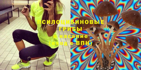 ешки Магадан
