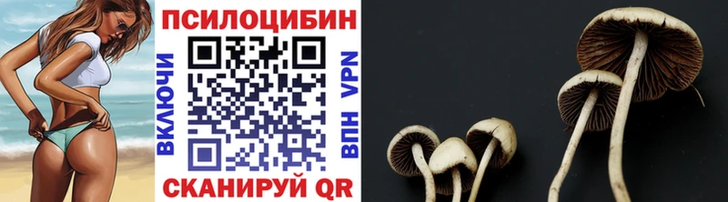 Галлюциногенные грибы MAGIC MUSHROOMS  Абаза 